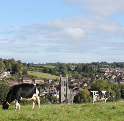 Property image for Cubis Bruton, Bruton