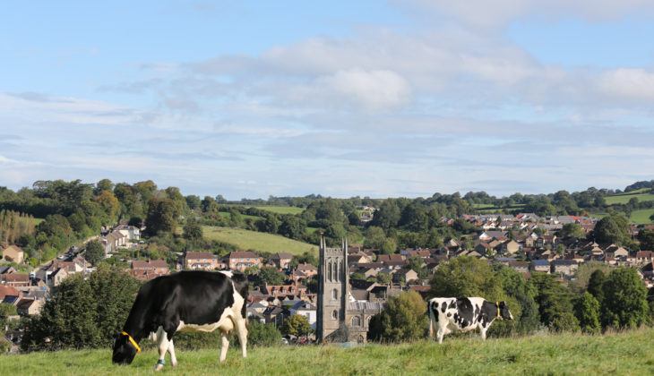 Property image for Cubis Bruton, Bruton