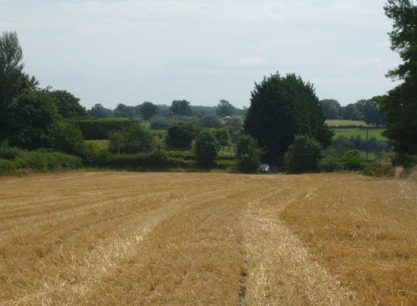 Stanbridge Park, Sherston