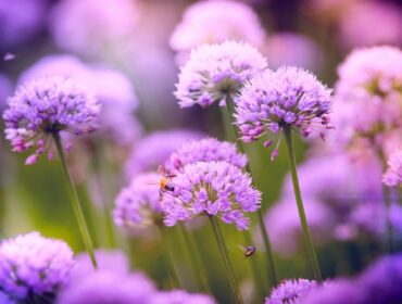 Tips for Creating a Sustainable and Bee-Friendly Garden